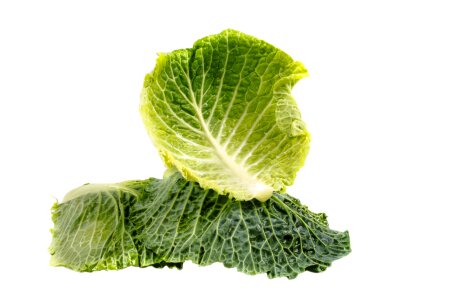 Plant isolated vegetarian