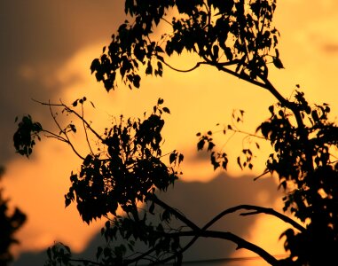 Vivid glow clouds photo