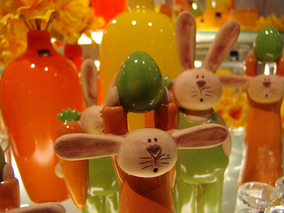Orange hare rabbit