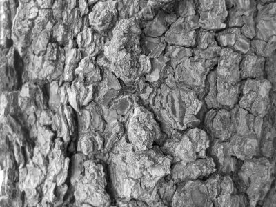 Texture black and white black white