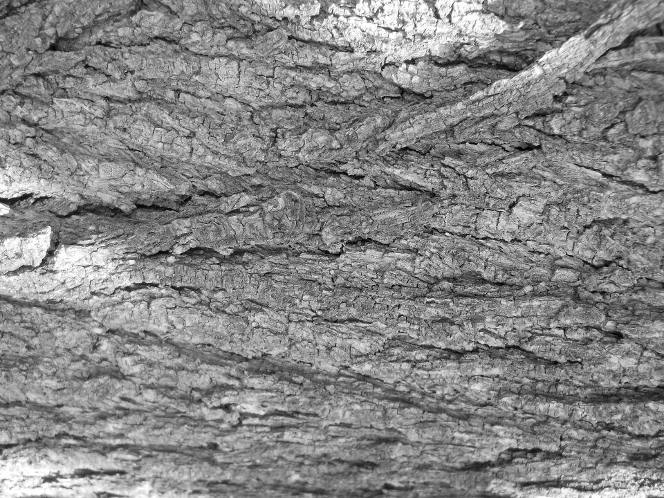 Texture black and white black white