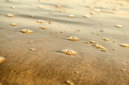 Circle close-up coastline