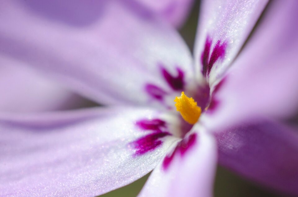 Spring summer background