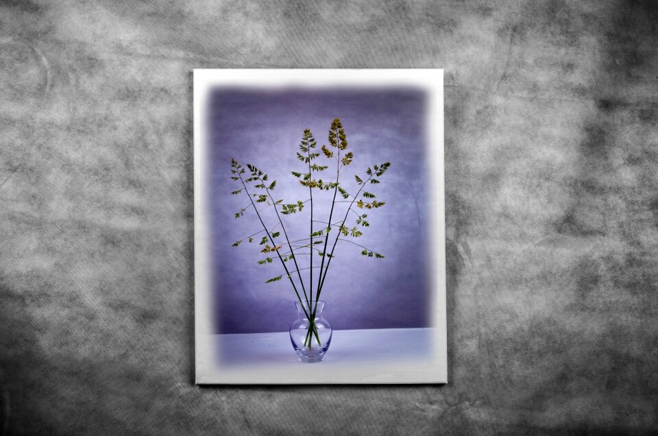 Background art plant