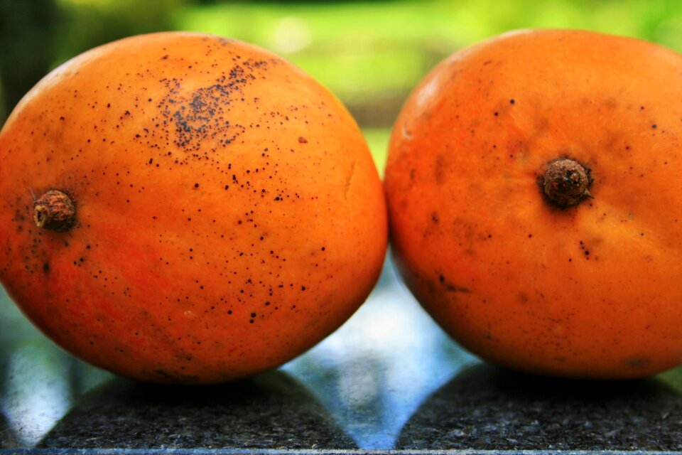 Orange fresh tropical