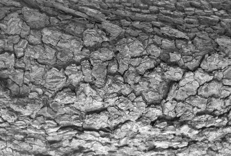 Texture black and white black white
