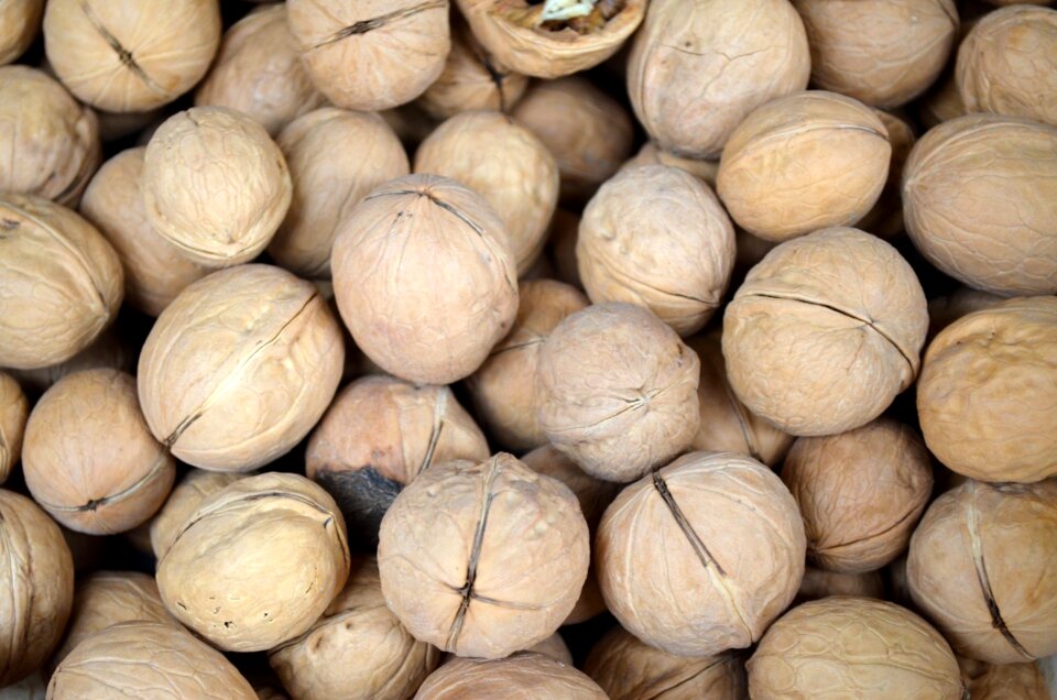 Walnuts nut nutmeat
