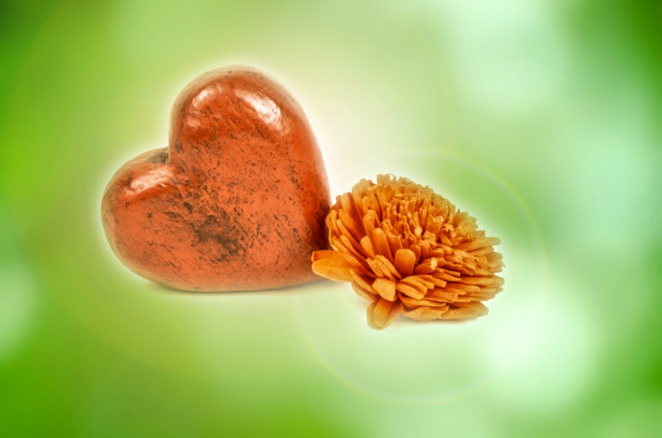 Isolated flowers give