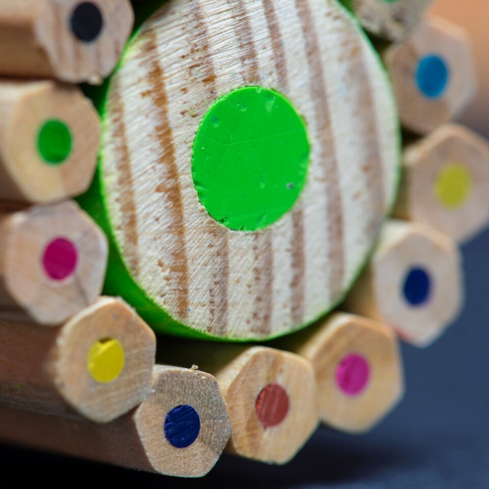 Wood forest instrument