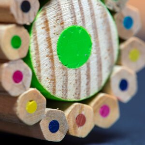 Wood forest instrument