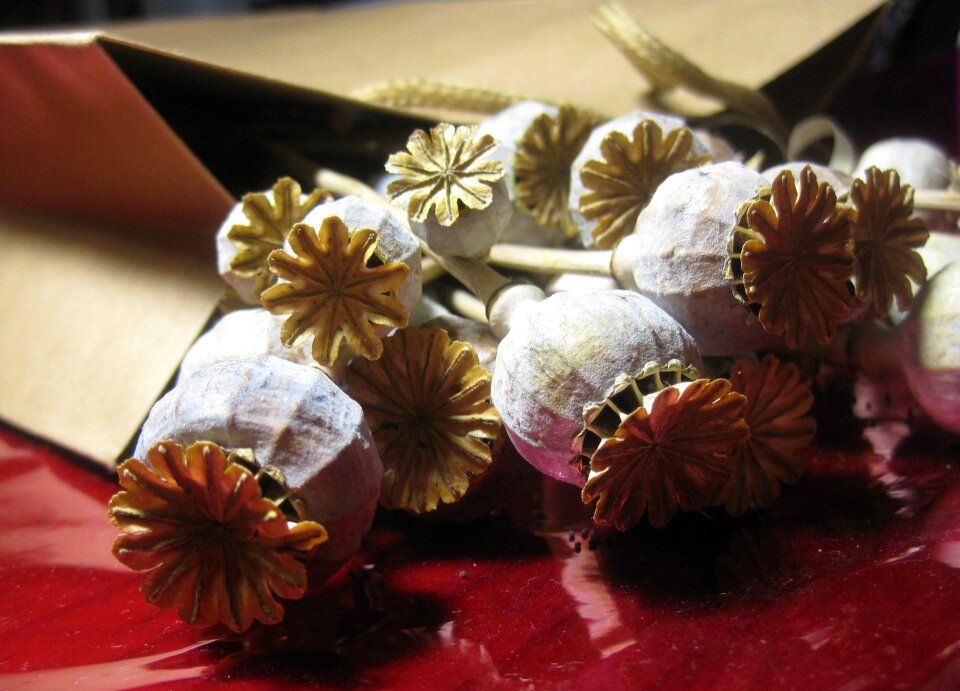 Dry bleached paper packet