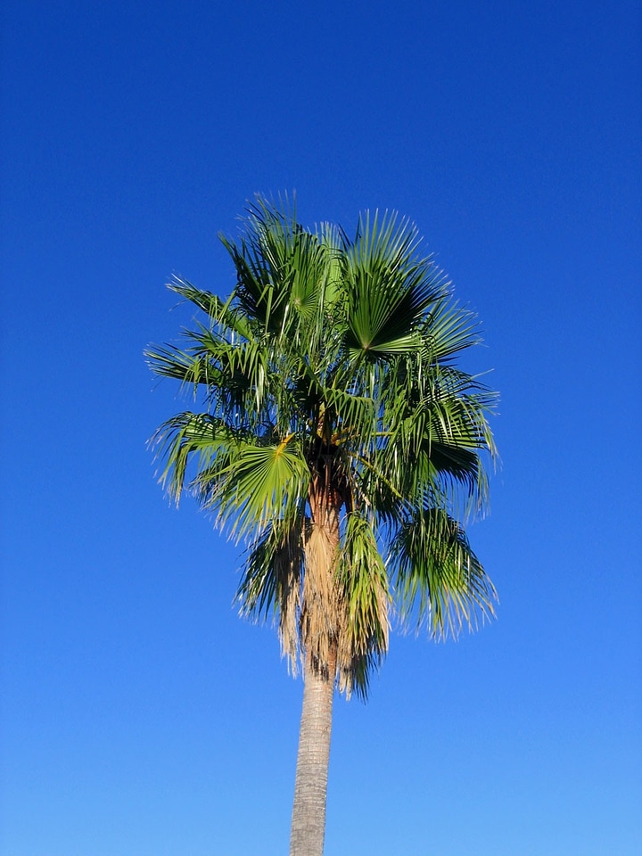 Blue spain nature