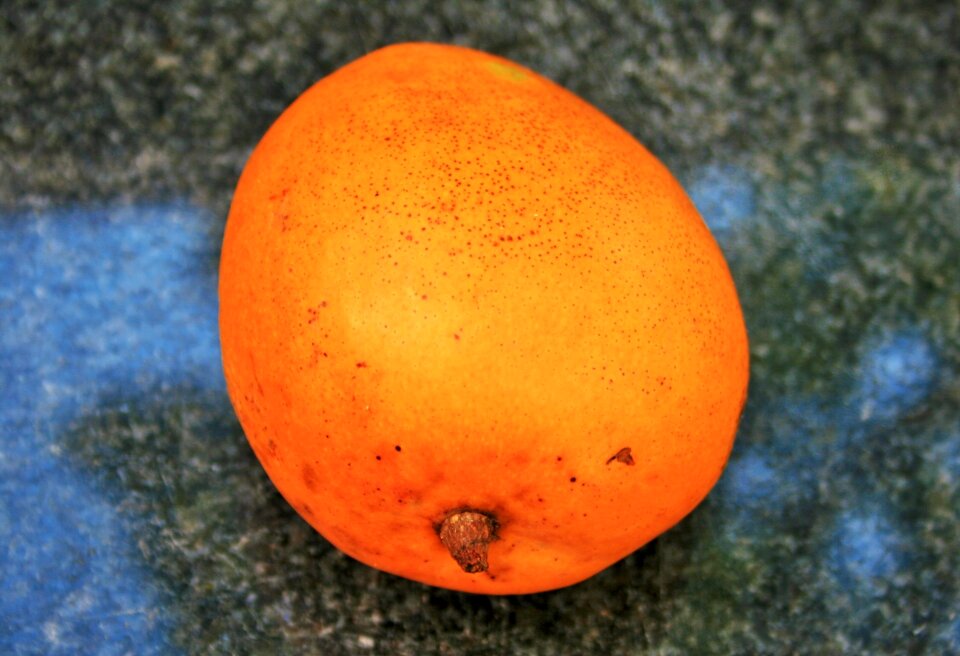 Orange fresh tropical photo
