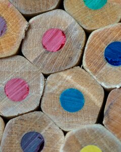 Wood forest instrument