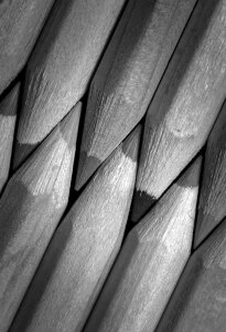 Wood forest instrument