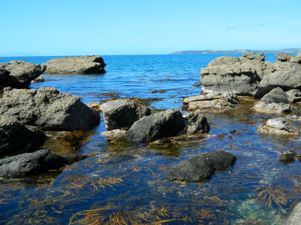 Rock pools nature beach scene