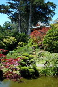 Green japanese san francisco