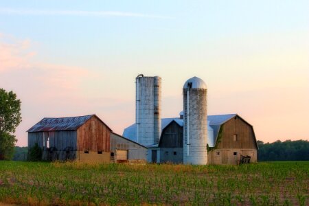 Corn sunset sky