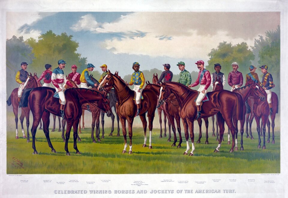 Horses jockey jockeys