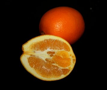Citrus round circle