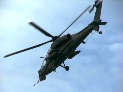 Military aviation mangusta