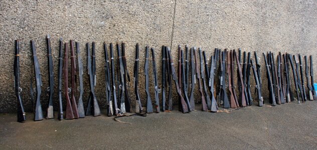 Long gun cadet gun cadet riffles