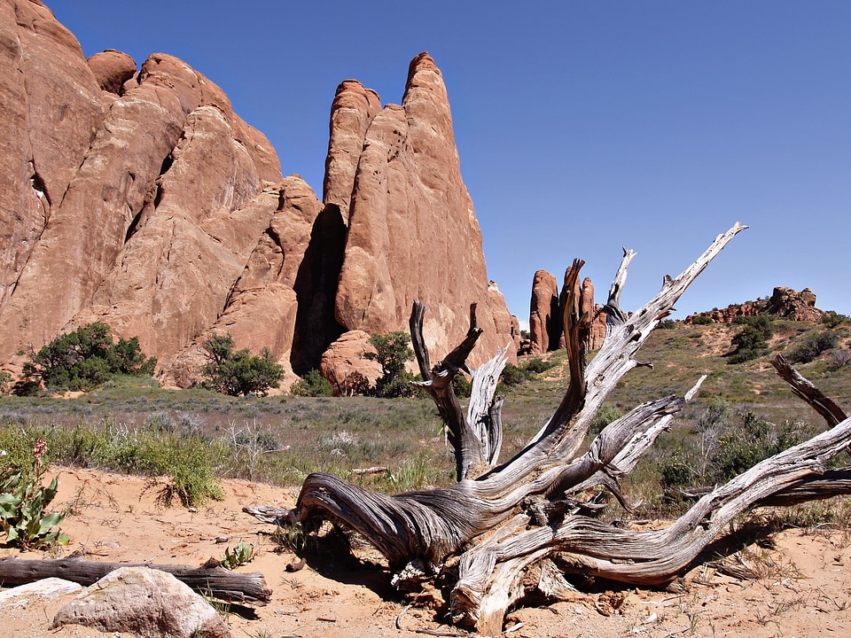 Landscape erosion desert