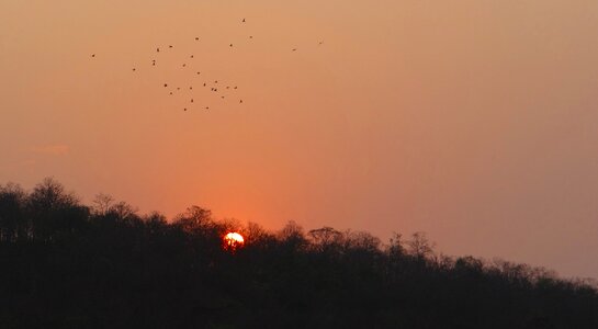 Tattihallia karnataka india