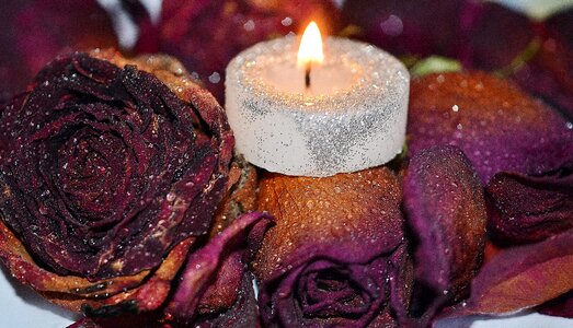Wax romantic soft
