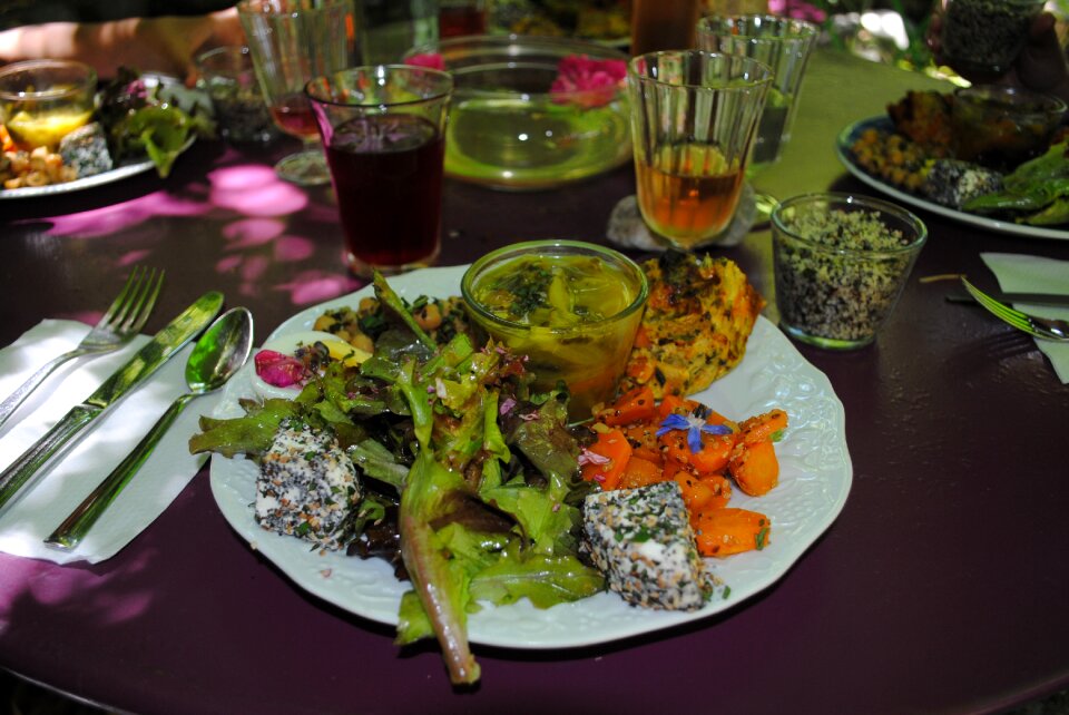 Vegetarian meal vegetarian gourmet meal garden of the sambucs