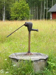 Finnish meadow savonlinna