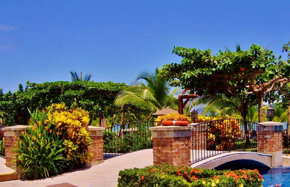 Nature architecture central america