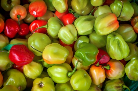 Pungent fruit macro close-up
