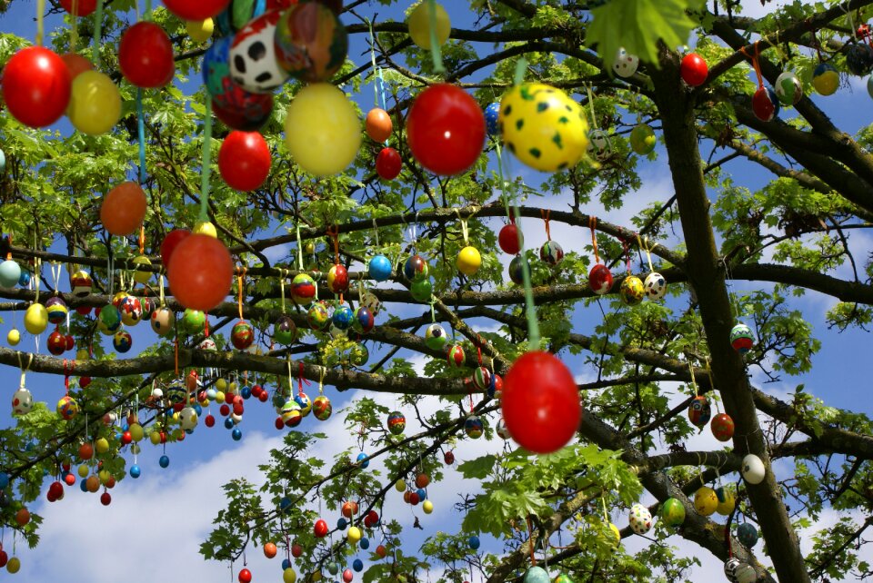 Egg color colorful