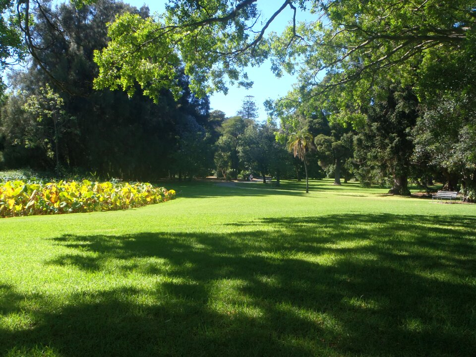 Lichtspiel australia adelaide