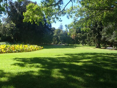Lichtspiel australia adelaide