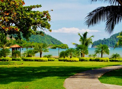 Nature landscape summer