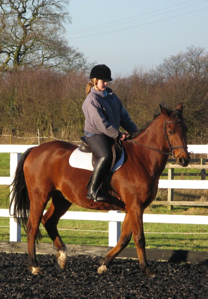 Rider show learning