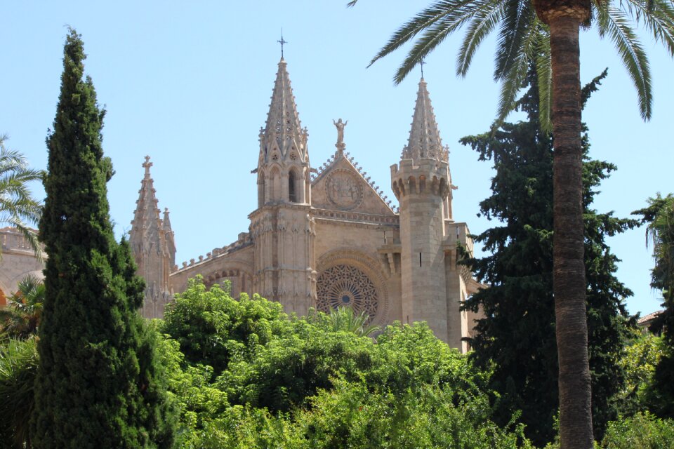 Cathedral mallorca architecture