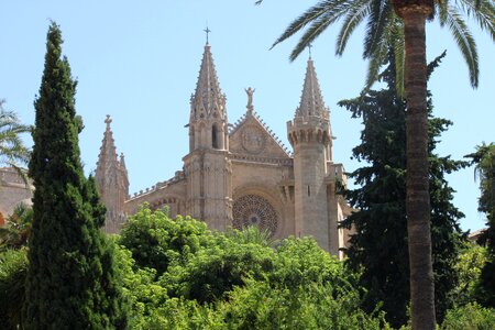 Cathedral mallorca architecture photo