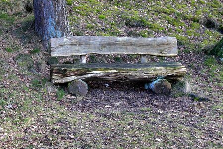 Silent wals wood