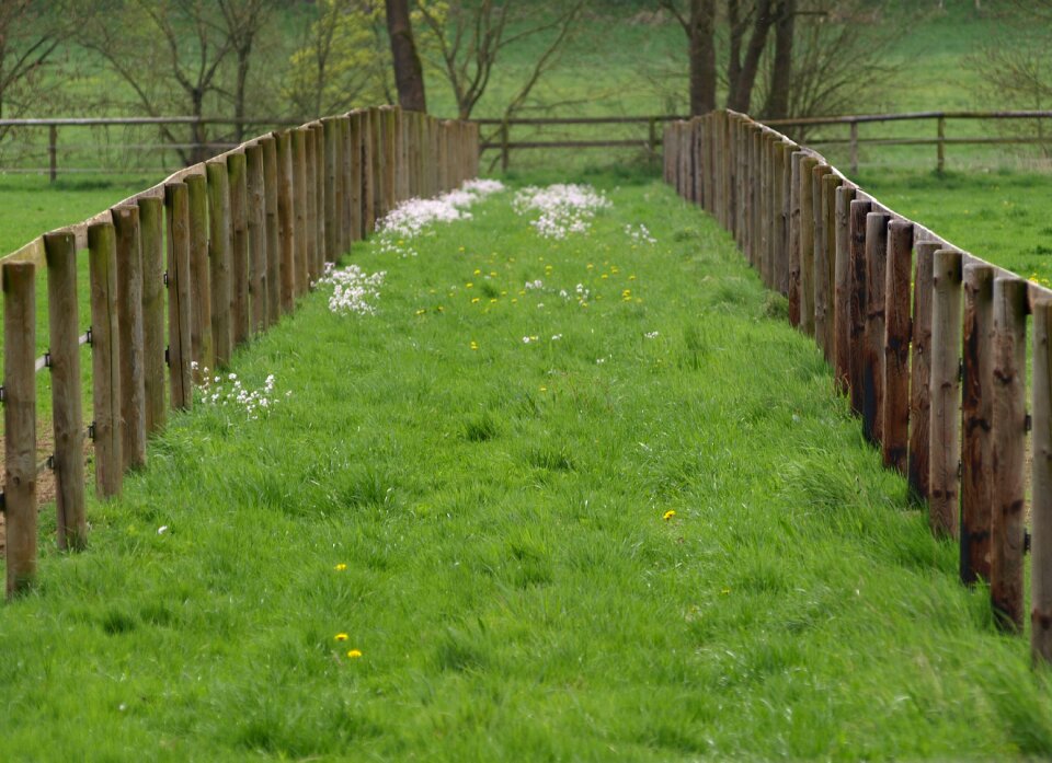 Wood fence paddock limit