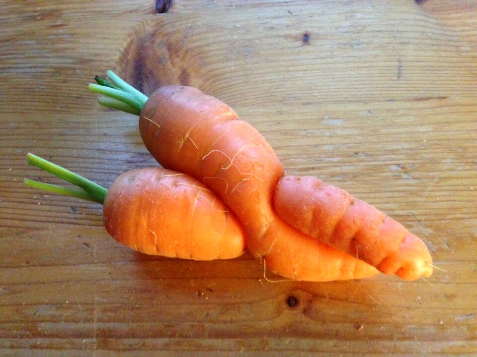 Vegetables root entanglement