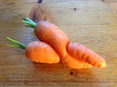 Vegetables root entanglement