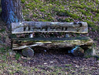 Resting place inscription forest