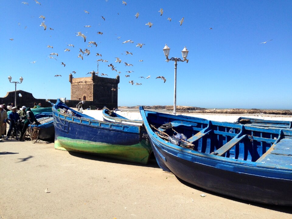 Fishing blue essaouira