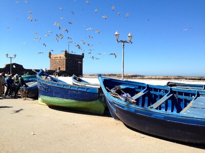 Fishing blue essaouira