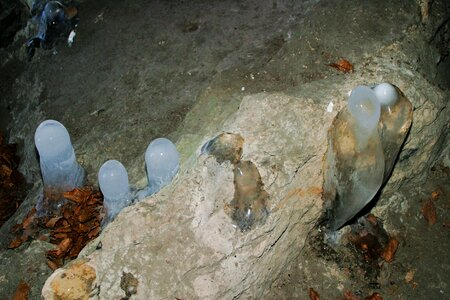 Stone age people stone age stalagmites