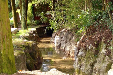 Idyll nature rest