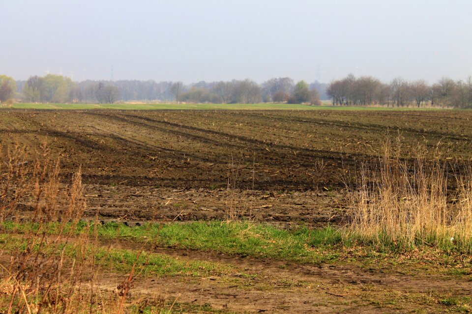 Landscape nature agriculture